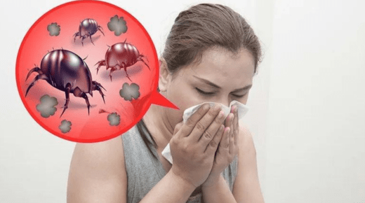 Dust Allergy Treatment at Home - A Comprehensive Guide