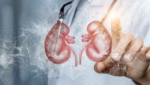 nephrologists in Bangalore