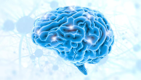 neurology Hospital in hyderabad